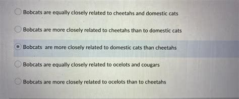 Solved Match the sponge cell types to the correct function | Chegg.com