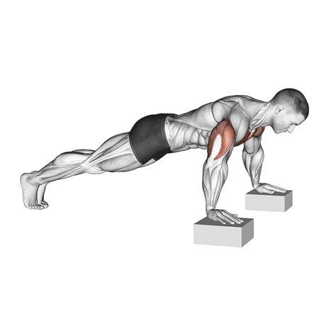 Deficit Push Ups Exercise Overview: Muscles Worked and More - Inspire US