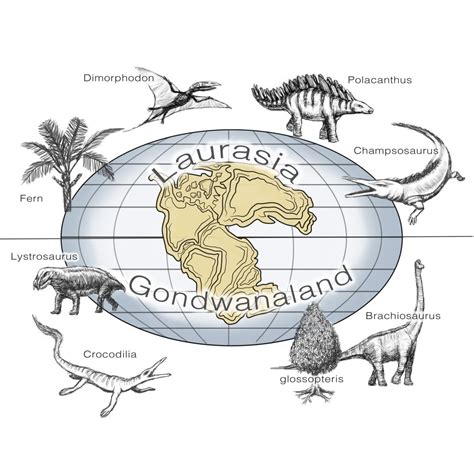 Laurasia and Gondwana Illustration Poster Print by Spencer ...