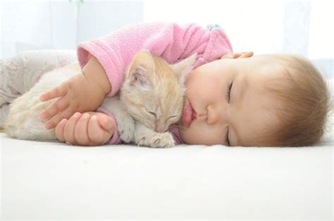 How to Keep Your Cat out of Your Baby’s Crib » Petsoid