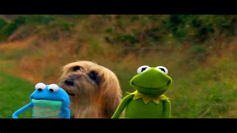 Kermit's Swamp Years Part 14 - YouTube