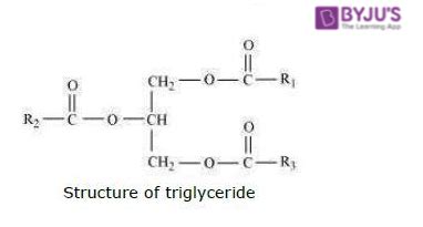 What Is The Basic Molecular Structure Of Lipids | Sitelip.org