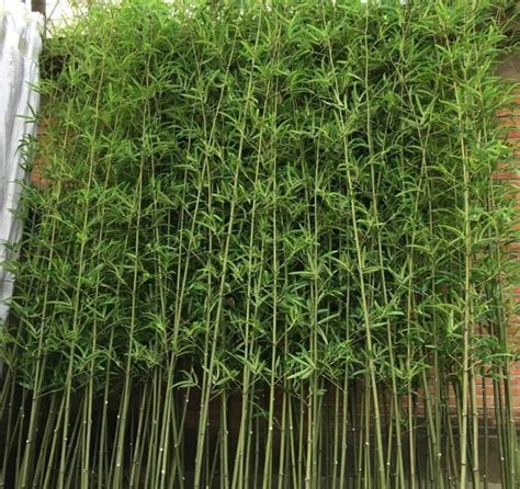 Fake Bamboo Garden Fence For Hedge Decor Backyard Decor Artificial ...