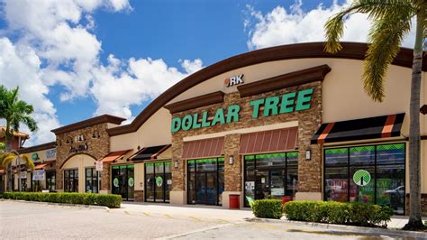 11 Grocery Items To Buy at Dollar Tree - TrendRadars