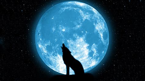 wolf howling on the moon Wallpapers HD / Desktop and Mobile Backgrounds