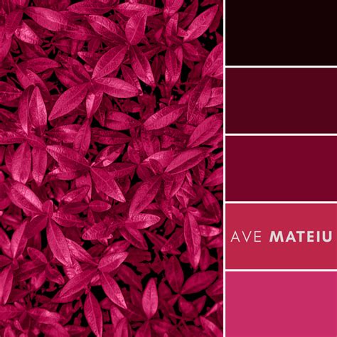 Pantone's Color of the Year 2023: Viva Magenta Color Palette 409 - Ave ...