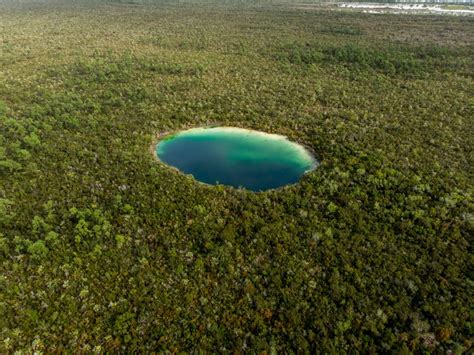 Räum den Raum auf Probe Entmutigen west side national park bahamas ...