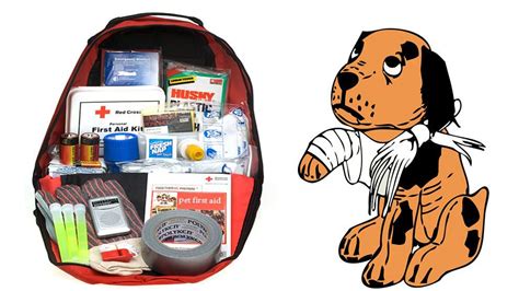 First Aid Kit For Pets - Emergency Resources For A Pet Owner - Petmoo