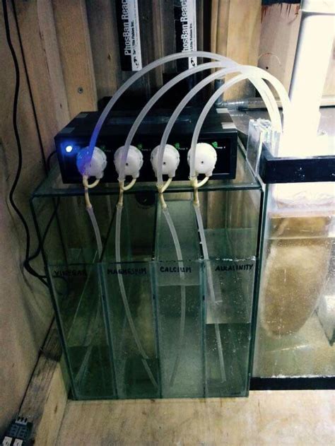 Nice reef dosing setup | Saltwater aquarium, Saltwater tank, Aquarium