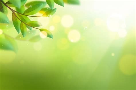 Nature Green Background Images - Free Download on Freepik