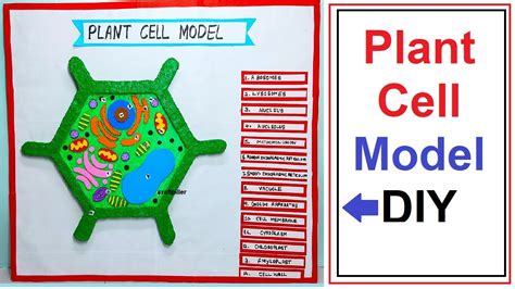 Plant Cell Structure Project