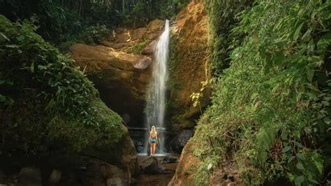 Costa Rica Waterfall, Waterfall Trail, Small Waterfall, Famous ...