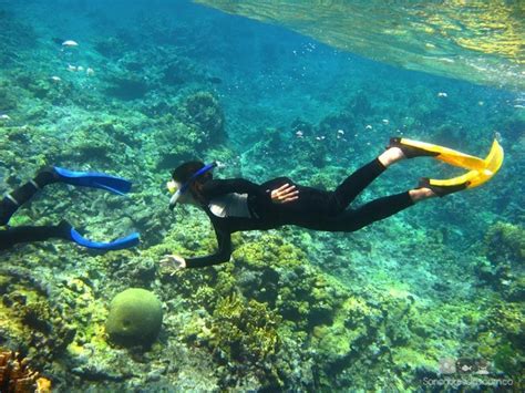 Tour Snorkeling - Tours y Actividades en San Andrés