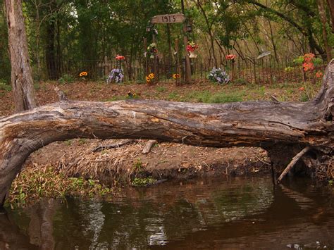 I Heart My Pen: Photography (and other animals): Haunted Swamp, Louisiana