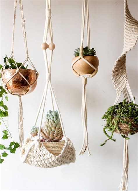 Indoor Hanging Plants Low Maintenance