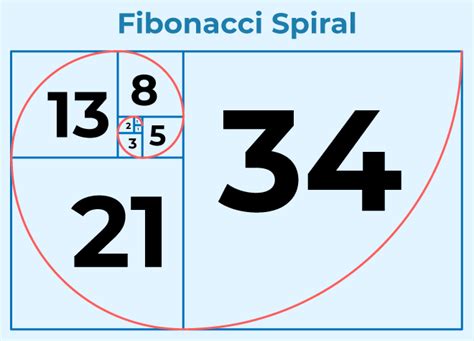 Fibonacci Sequence Definition Formula List Examples Diagrams – NBKomputer