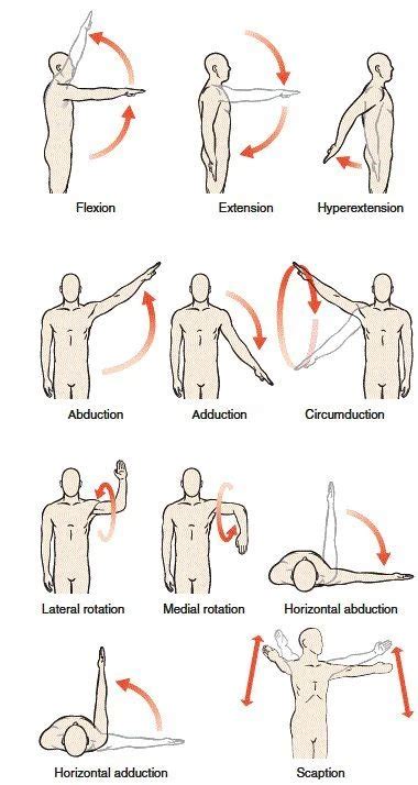 Best exercises for Shoulder joint - Benefits, Muscle worked - Mobile