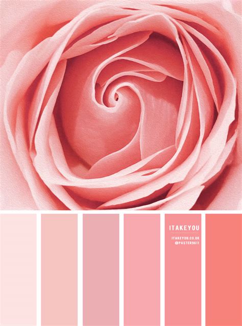 Color Inspiration : Rose Pink Tones I Take You | Wedding Readings ...