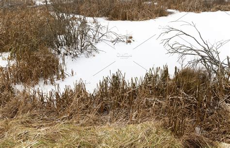 Marshy area stock photo containing marshy and area | Nature photos ...