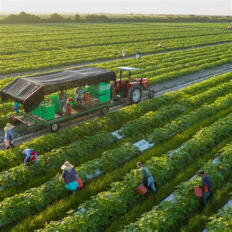 Aprender sobre 41+ imagem organic farming course - br.thptnganamst.edu.vn