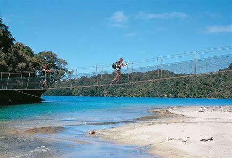 Stewart Island - Kiwis and Wildlife - New Zealand | Tourism NZ