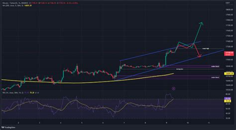 Bitcoin (BTC) Price Prediction: Is Bitcoin Rally Happening in 2023?