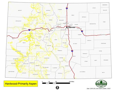 Hardwood | Primarily Aspen | Colorado State Forest Service | Colorado ...
