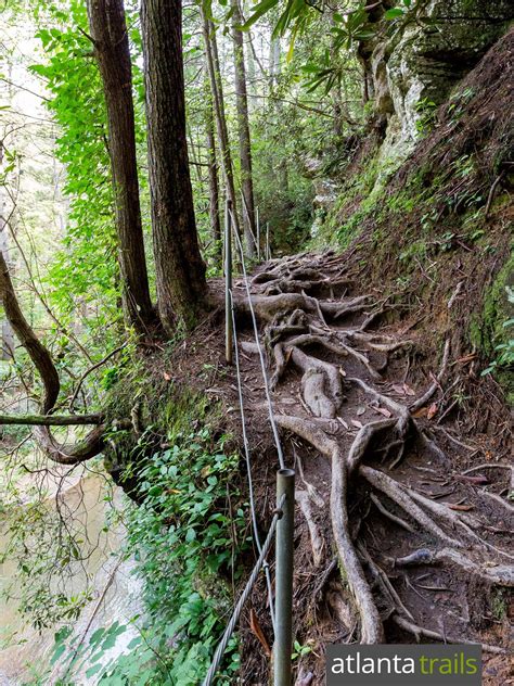 Panther Creek Falls Trail - Atlanta Trails | Hiking places, Beautiful ...