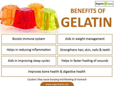 Suplementação e Saúde: Gelatina, Quais são seus Benefícios?