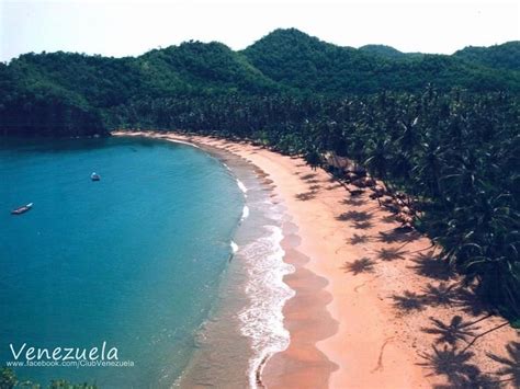 Playa Medina,edo Sucre,Venezuela. Venezuela Beaches, Costa, Exotic ...