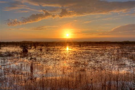 Everglades Sunset Free Stock Photo - Public Domain Pictures