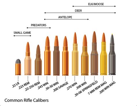 Firearms - General Information | North Dakota Game and Fish