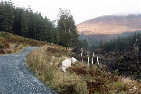 Hiking in the Wicklow Mountains - themigratorybirds.com