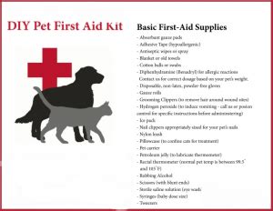 3 Important First Aid Tips for Pet Owners - Passionately Pets