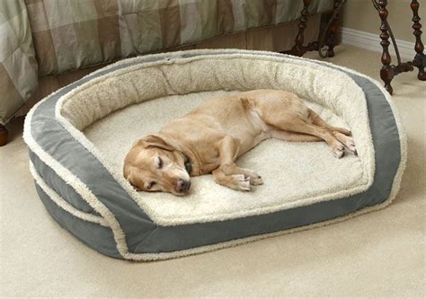 Oversized Horseshoe Bolster Dog Bed with Memory Foam / Small dogs up to ...