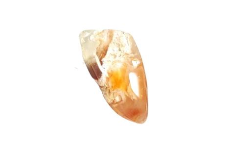 List of 40 Jasper Stones with Images | AllCrystal