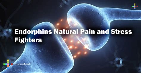 Understanding Endorphins Natural Pain and Stress Fighters