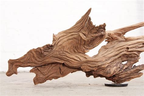 20+ Driftwood Art For Sale – The Urban Decor