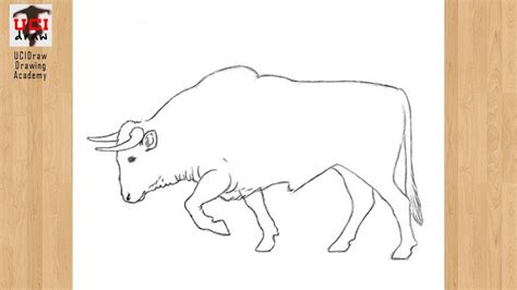 How To Draw Bulls - Clockscheme Spmsoalan