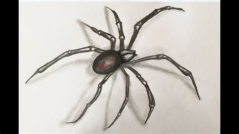 Realistic 3D Spider Drawing