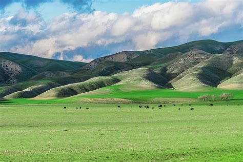 Bonanza, California Foothills Photograph by David A Litman - Fine Art ...