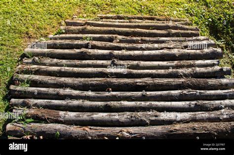 Wooden stick texture hi-res stock photography and images - Alamy