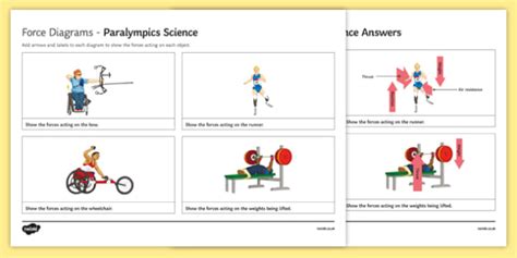 Force Diagrams Olympic Science Worksheet / Worksheet, worksheet