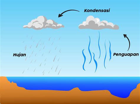 Siklus air berikut ini yang merupakan siklus pendek adalah | Play