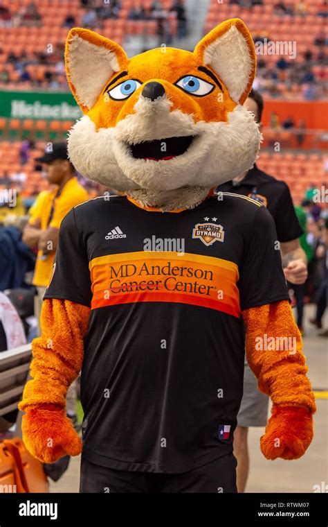 March 02, 2019: Houston Dynamo mascot Diesel prior to the match between ...