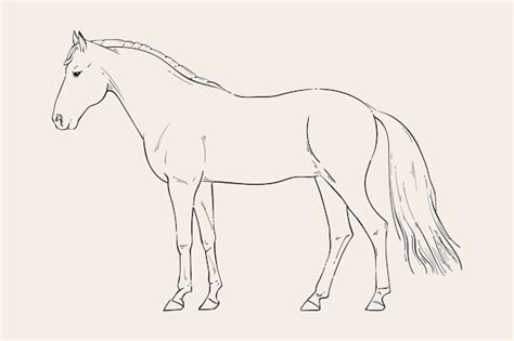 Horse Outline Images - Free Download on Freepik