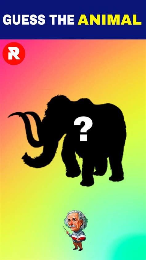 Can you guess the animal by shadow | guess the animal | animal quiz ...