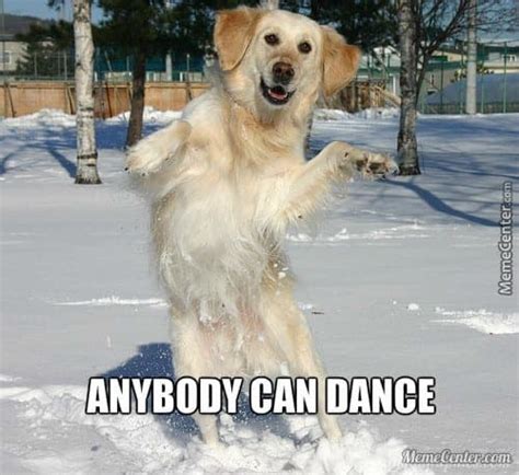 50+ Best Dancing Dog Memes