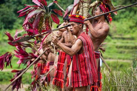 Punnuk Rice Harvest Ritual – Ifugao | Jacob Maentz