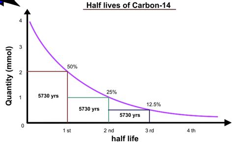 Half-Life in Chemistry: Calculations and Examples - PSIBERG